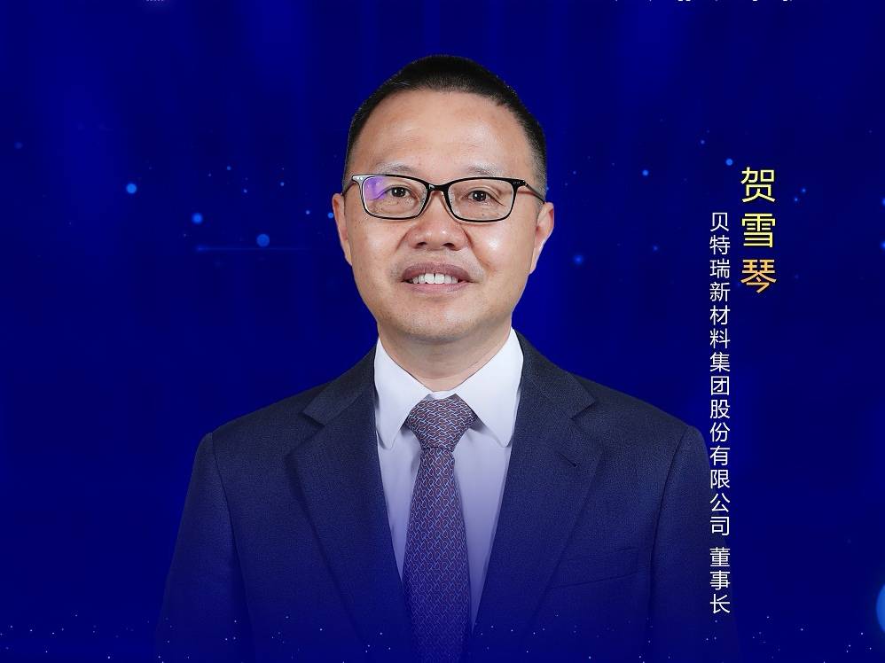 賀雪琴:產業上下游攜手強鏈打造核心競爭力,應對動力電池的挑戰(圖1) 賀雪琴:產業上下游攜手強鏈打造核心競爭力,應對動力電池的挑戰(圖1)